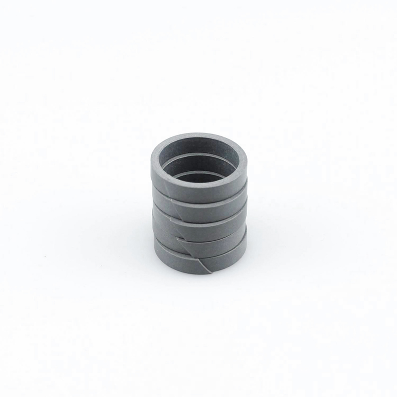 Опорные кольца (4)