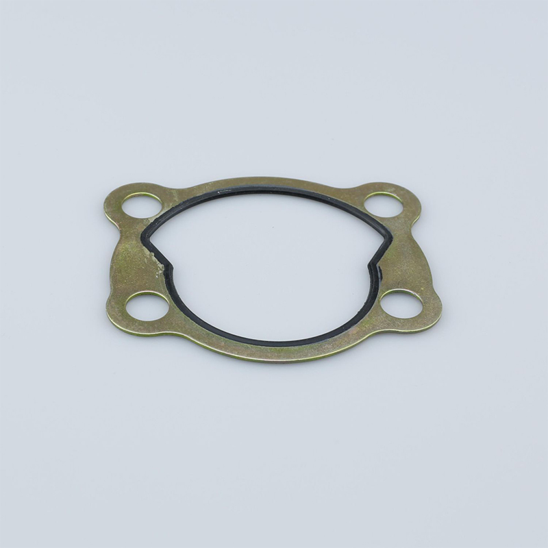 Прокладки боковых крышек (1)